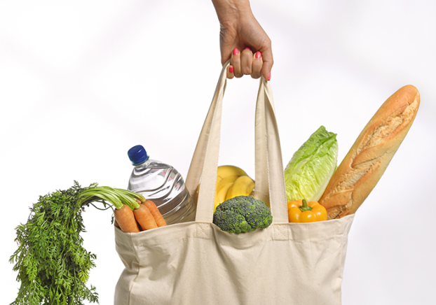 Canvas bag filled with food goods.